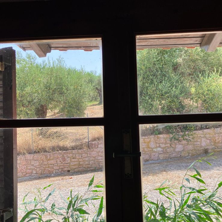 Nestors kitchen window view