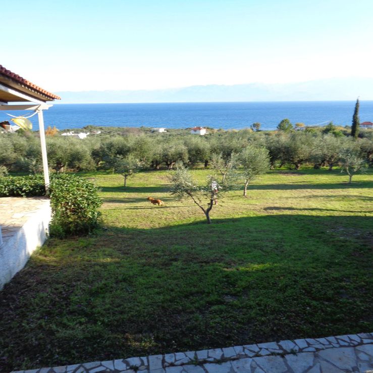 olive garden view